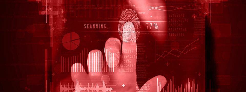 Zubehör und Software Development Services 